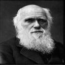 ����Ľ���������